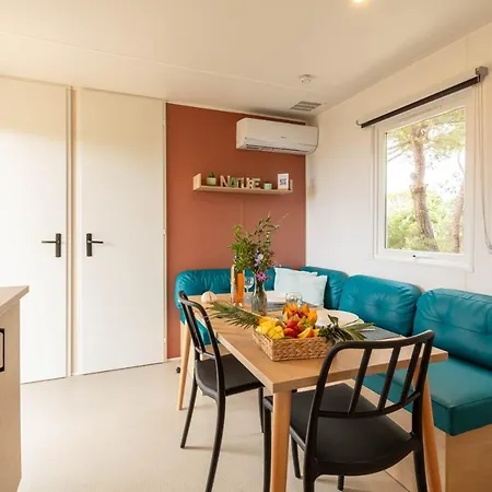 L'olivier Mobil-home Climatise Avec Vue Exceptionnelle Hyères